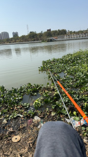 🎣汉鼎螺纹钢4.5M钓鱼竿使用笔记🎣