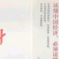 撕开经济“黑箱”：这本被大佬疯抢的“政府经济学”，凭什么