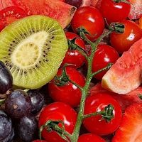 春季野餐水果搭配指南