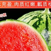 最新优惠