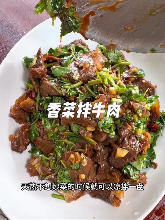 凉拌牛肉应该是夏天少不了的一道菜，天热不想炒菜，你就可以卤点牛腱子放冰箱，想吃的时候拿掉出来凉拌，特别的方便省事儿#日常做饭 #凉拌牛肉 #卤牛腱子 #潮汕卤汁