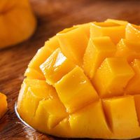 春日里的甜蜜使者——芒果