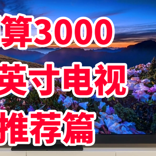 预算3000，75英寸电视如何选购？内行人只推荐这三款：口碑拉满！