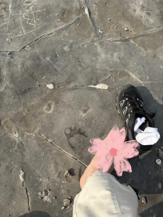 有没有适合夏天爬山的鞋？