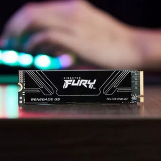 金士顿发布 Fury Renegade G5，旗下首款 PCIe 5.0 SSD 固态硬盘
