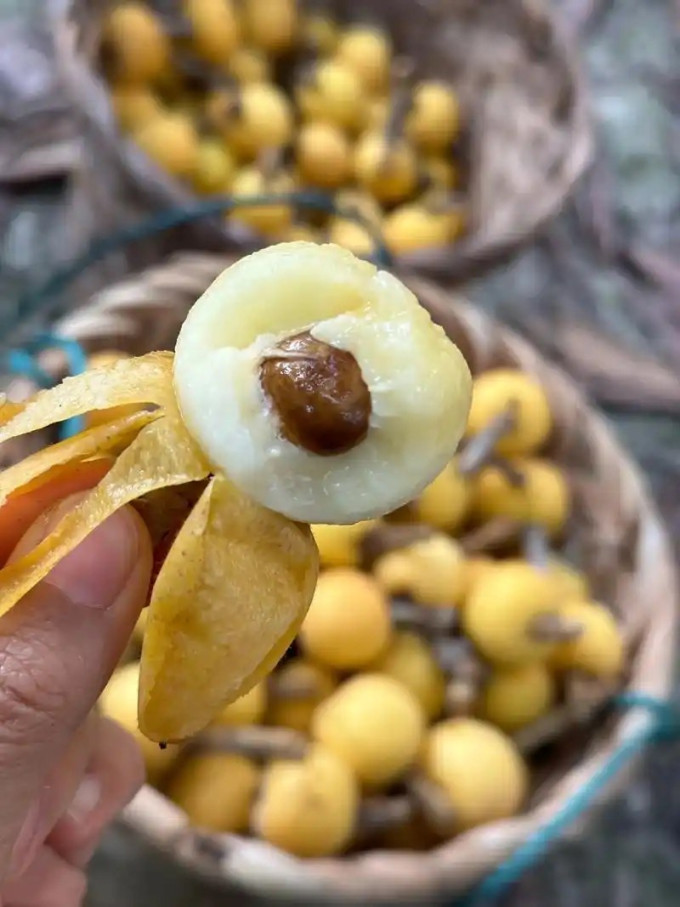 爱鲜摘农场新鲜水果