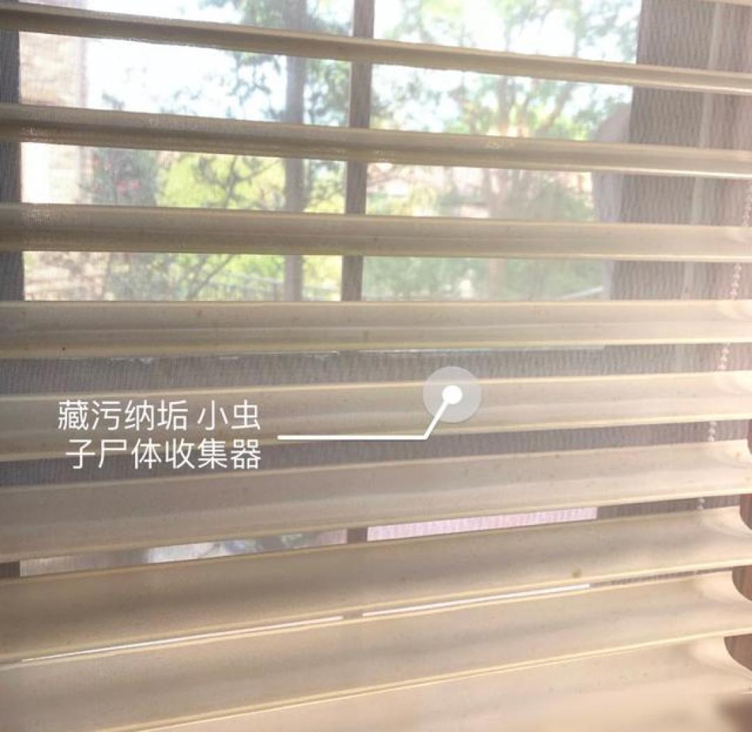 飘窗窗帘选日夜蜂巢帘:智能遮光不渗漏,隔音隔热更省空间