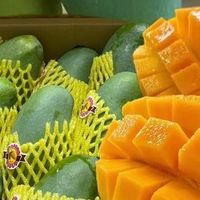 芒果控的福音：广西桂七芒优缺点评析