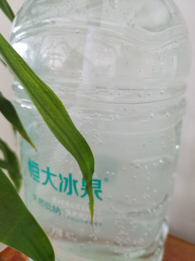 淡绿色桶装恒大冰泉低钠好口感