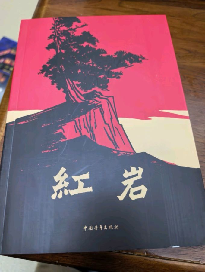中国青年出版社小说