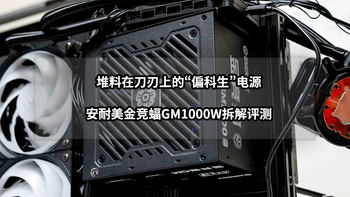堆料在刀刃上的“偏科生”电源丨安耐美金竞蝠GM1000W拆解评测 