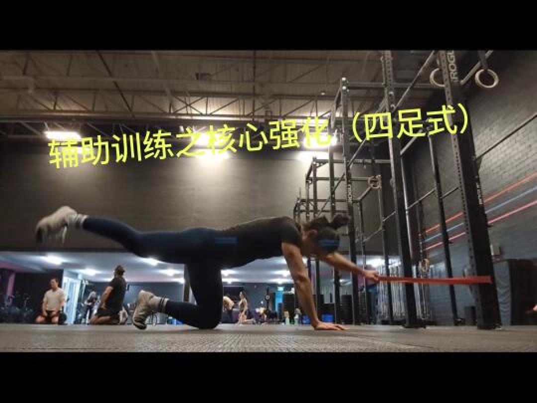 核心力量训练指南：4个动作打造稳定高效运动表现