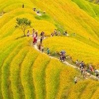 12个月续航，智能保管箱不打烊！