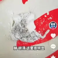 秋田满满面粉进老鼠？排除生产环节？宝妈们该注意什么