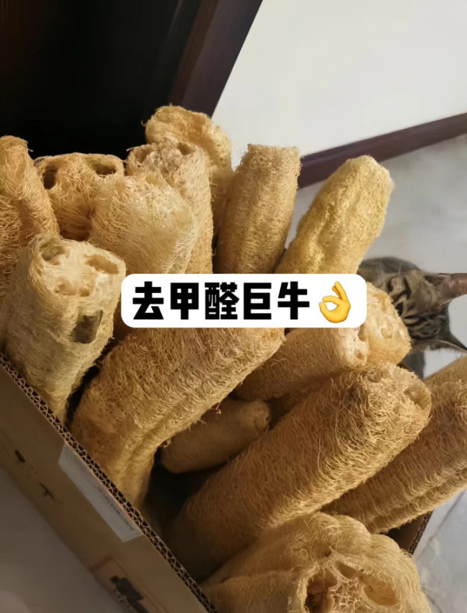 净化除味
