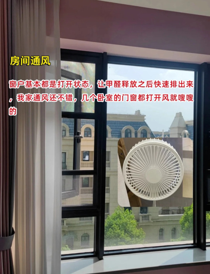净化除味