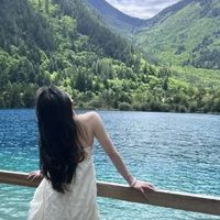 五一假期懒人攻略：树懒式玩法，躺着也能拉满朋友圈逼格！