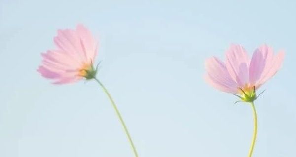 赫莲娜HR绿宝瓶眼霜礼盒评测:抗皱紧致表现如何?适合作为生日礼物吗?