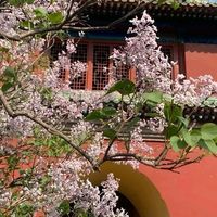 北京天坛公园：古韵今风，探秘皇家祭天圣地