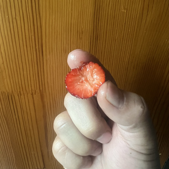林家铺子草莓