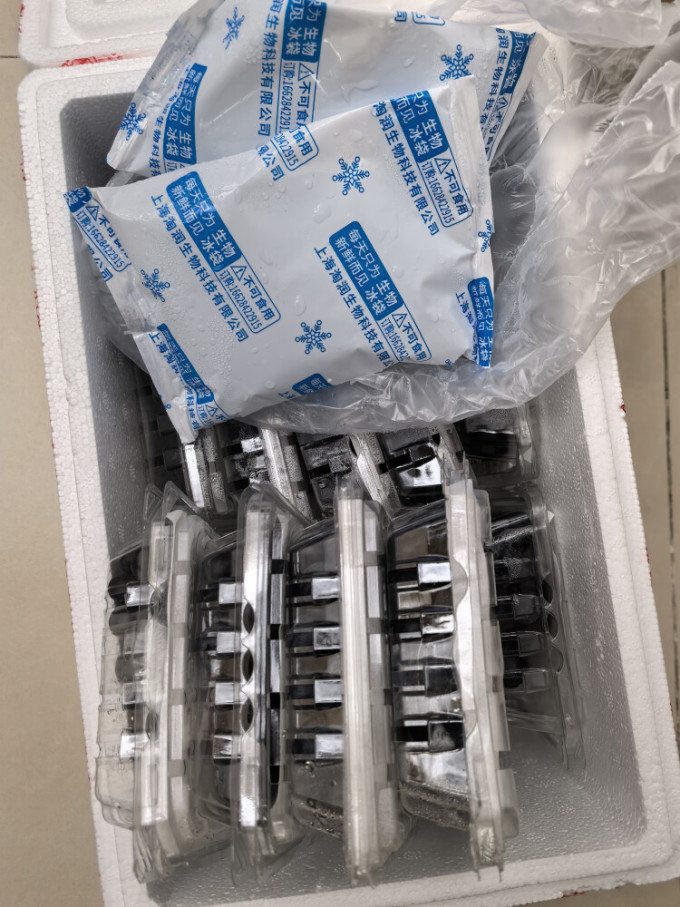 怡颗莓其他水果