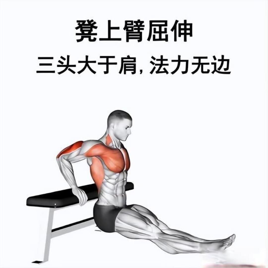 居家徒手健身全攻略:高效激活全身肌群训练方案