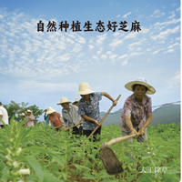 邂逅简箪谦益黑芝麻丸，开启健康养生之旅