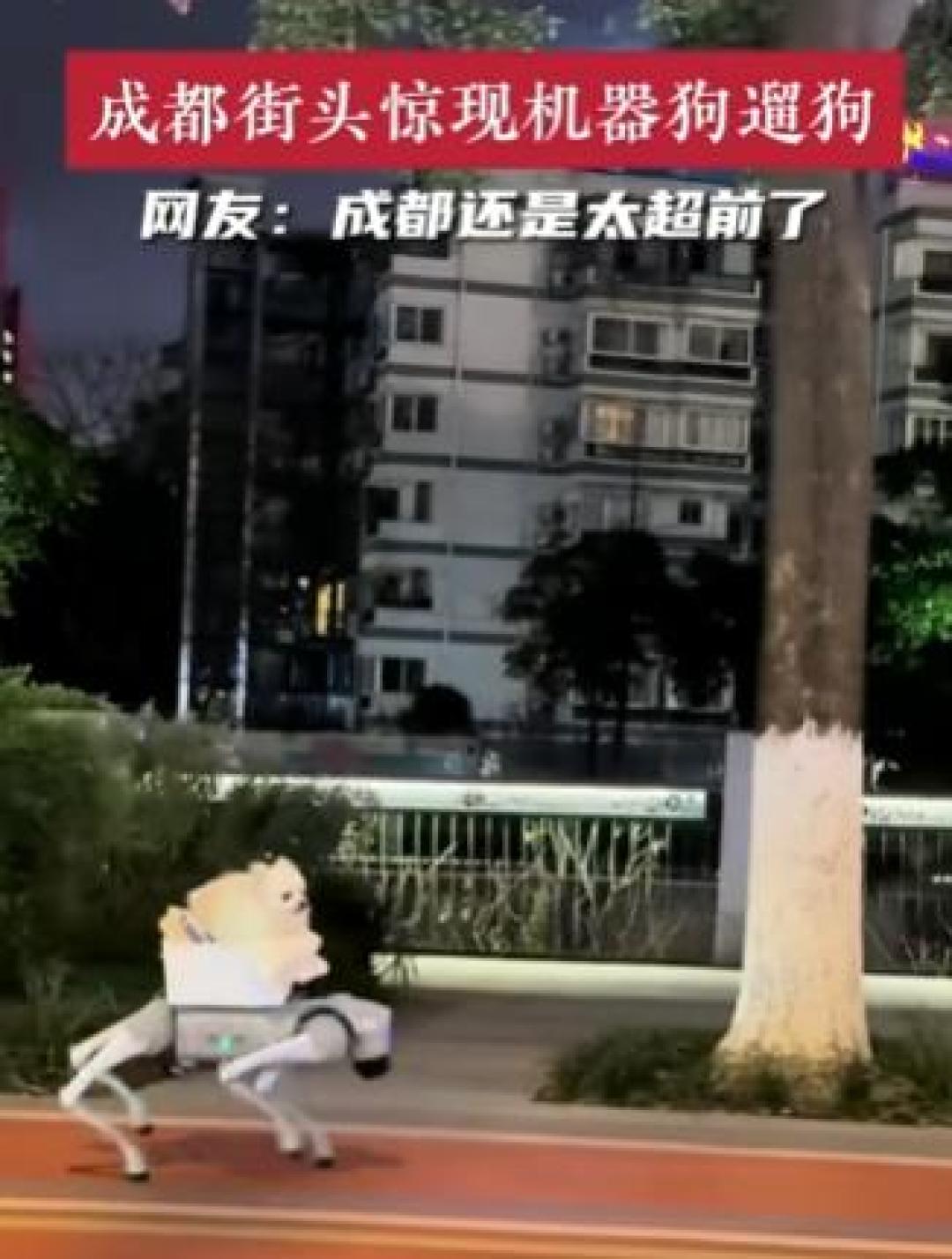 《当遛狗遇上赛博朋克:机器狗驮着未来穿行都市街巷》