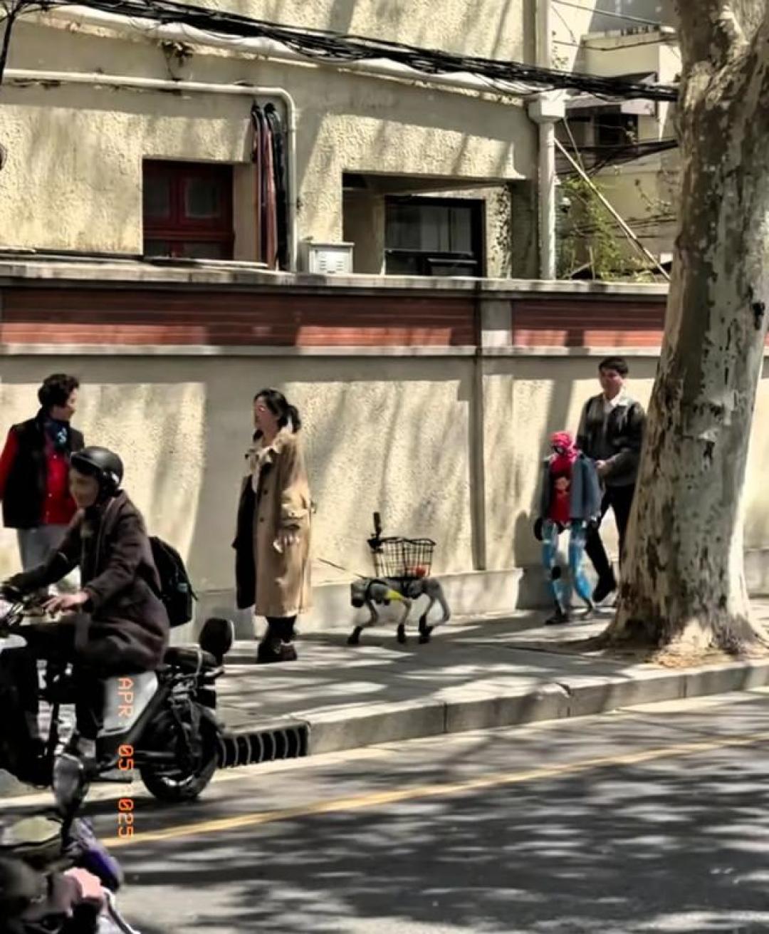 《当遛狗遇上赛博朋克:机器狗驮着未来穿行都市街巷》
