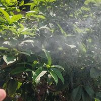 敏感肌的救星？雅漾喷雾深度评测来了