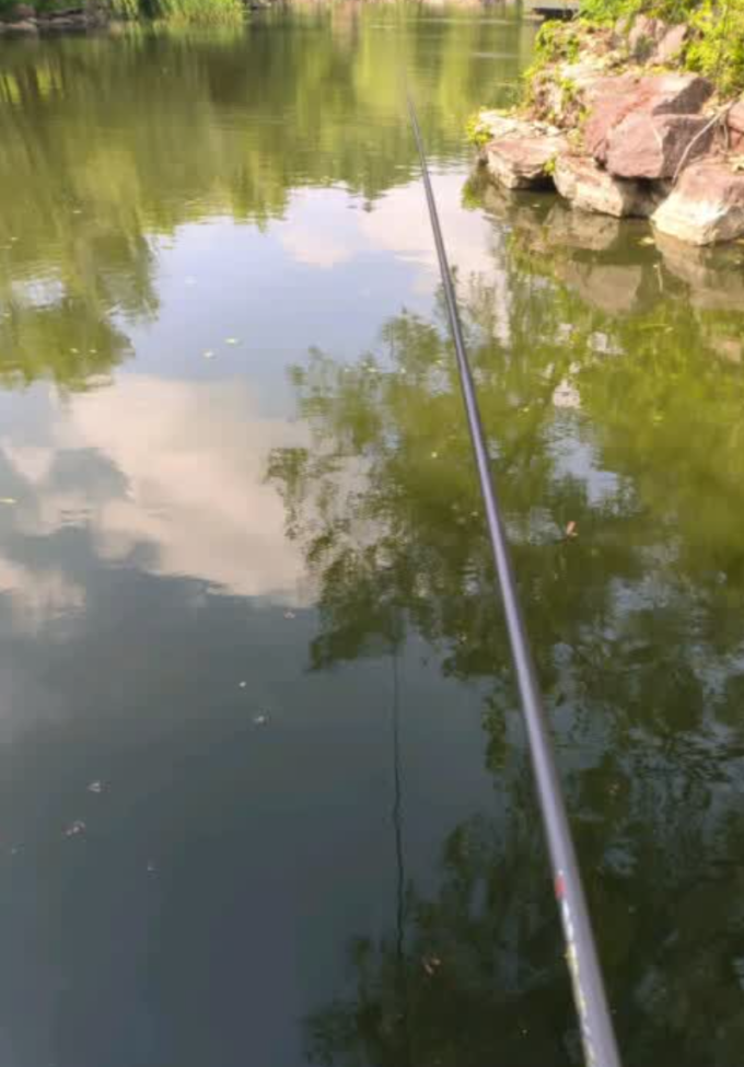 鱼竿