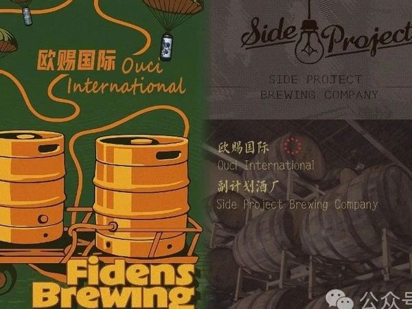 副计划（Side Project）+费登斯（Fidens）生啤接管-233