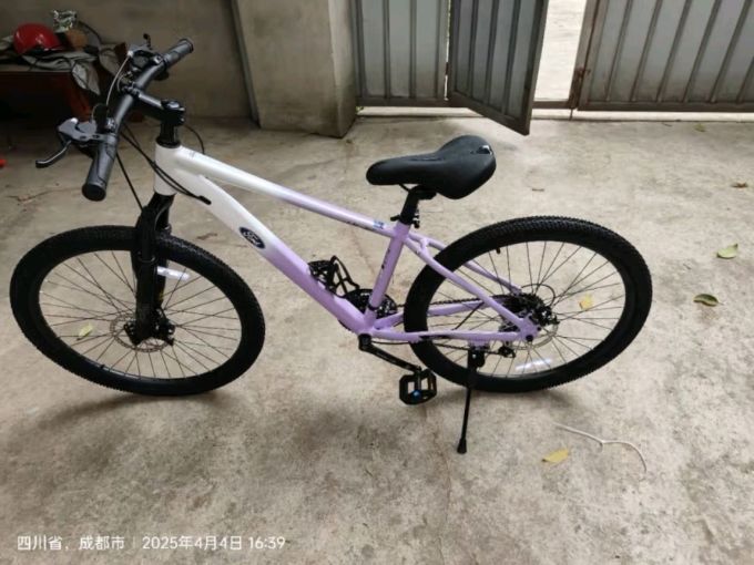 福特普通自行车