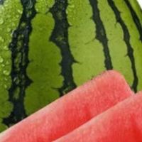 舌尖上的四季：品味时令水果的美好