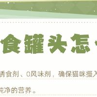 618购物车必备！2025主食猫罐头排行榜前十名！猫罐头怎么选