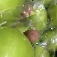 牛奶枣，你尝过吗？