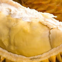 金枕榴莲大揭秘！冰淇淋口感+亲民价，新手入坑必选