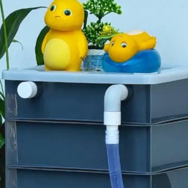 新手养鱼过滤系统DIY，帮你少踩坑