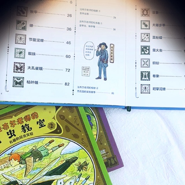 法布尔老师带你探索昆虫世界