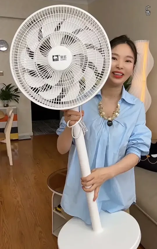 CAMEL/骆驼大风力大号循环扇静音平面扇台式立式两用电风扇f