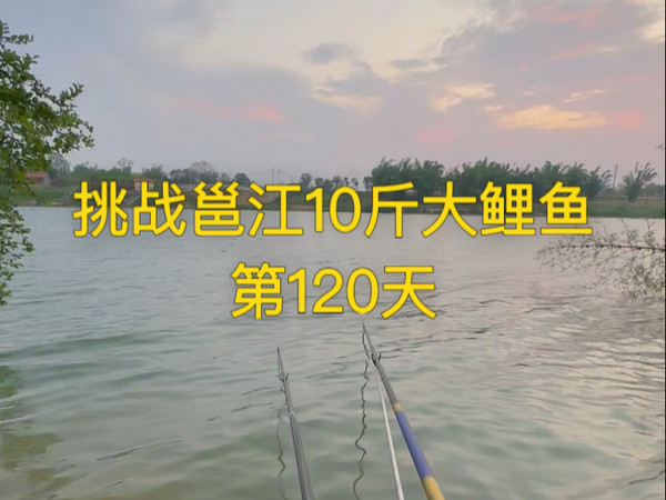 挑战邕江10斤大鲤鱼 第120天 三津渡口深水区 风浪太大鱼情不是很理想