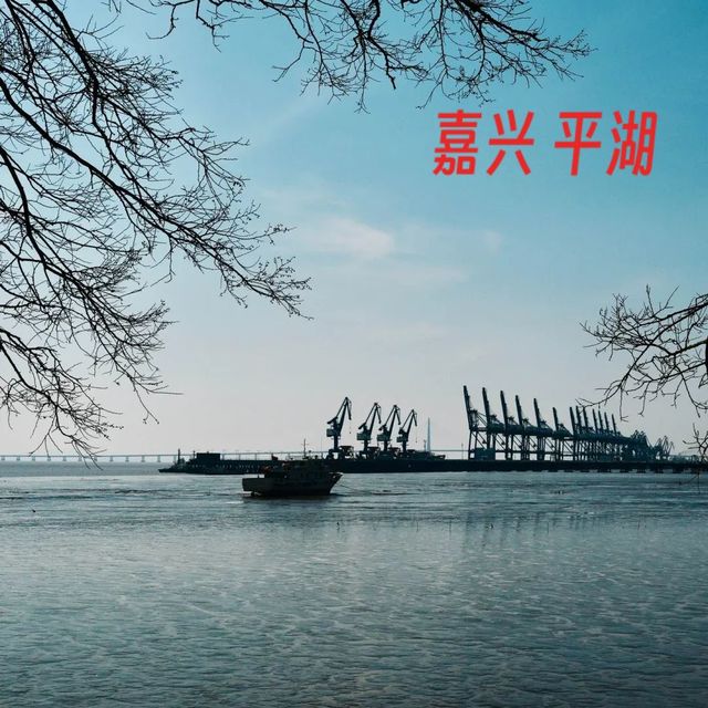 🌿 嘉兴平湖·休闲漫游攻略