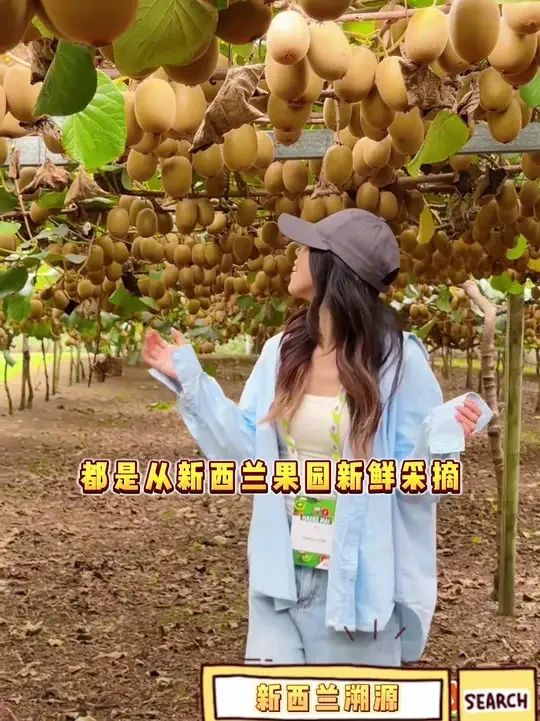 新西兰进口高维C应季水果 #佳沛奇异果 #维生素C #应季水果 #源头好生鲜