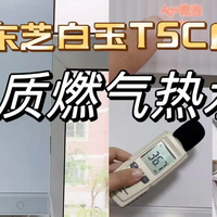 东芝/能率/林内爆款高端燃热实测分析，硬实力争霸，快来吃瓜!