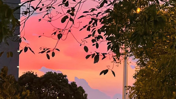 哇！玫珑网纹甜瓜太好吃了！