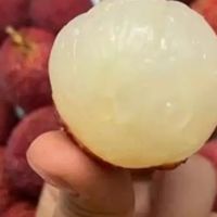 无核荔枝：初夏的甜蜜馈赠