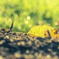 登山表界的独孤求败——卡西欧PRT50？