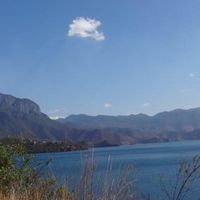 352净化器，甲醛克星？