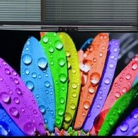 千元级 4K 显示器搭配 MacBook 的组合为你提供全面参考