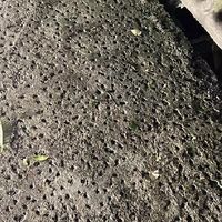 匹克登山杖：超轻徒步体验如何？
